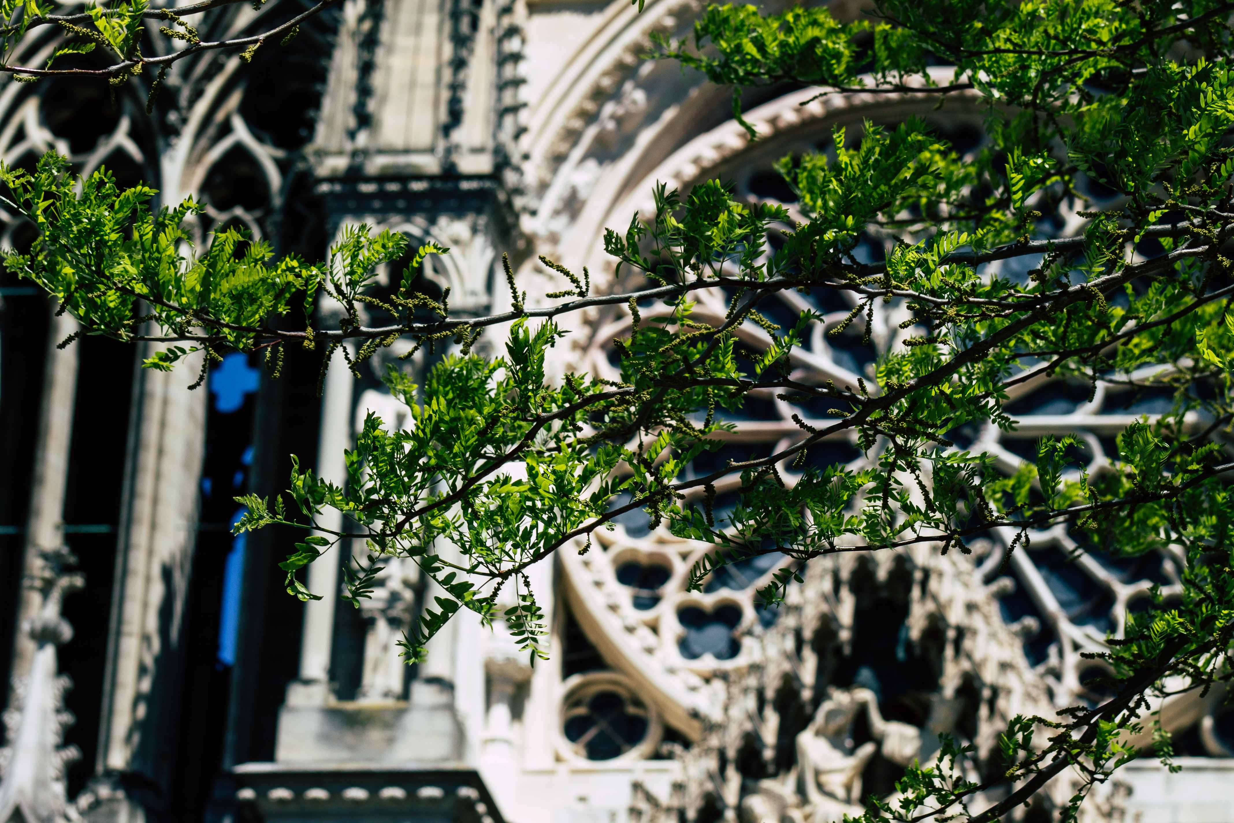 Архитектурные особенности: Природа как вдохновение