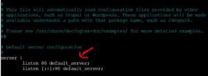 default_server